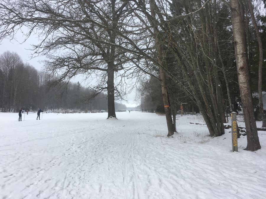 Skidåkare i Gottsundagripen