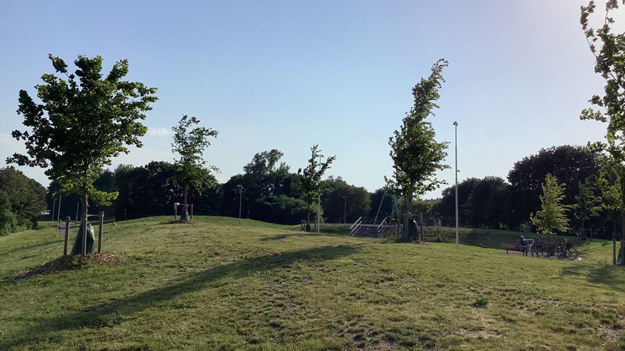 Gräskullar i Årstaparken.