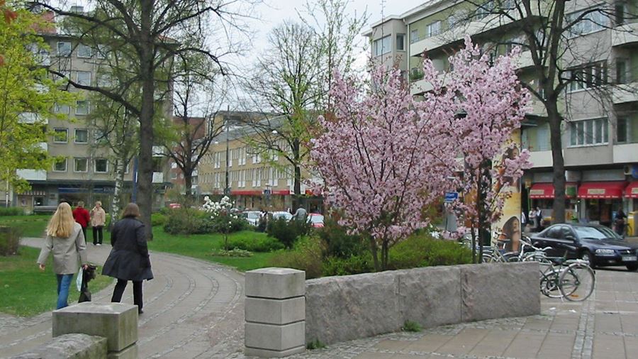 Börjeparken/Finn Malmgrens plan