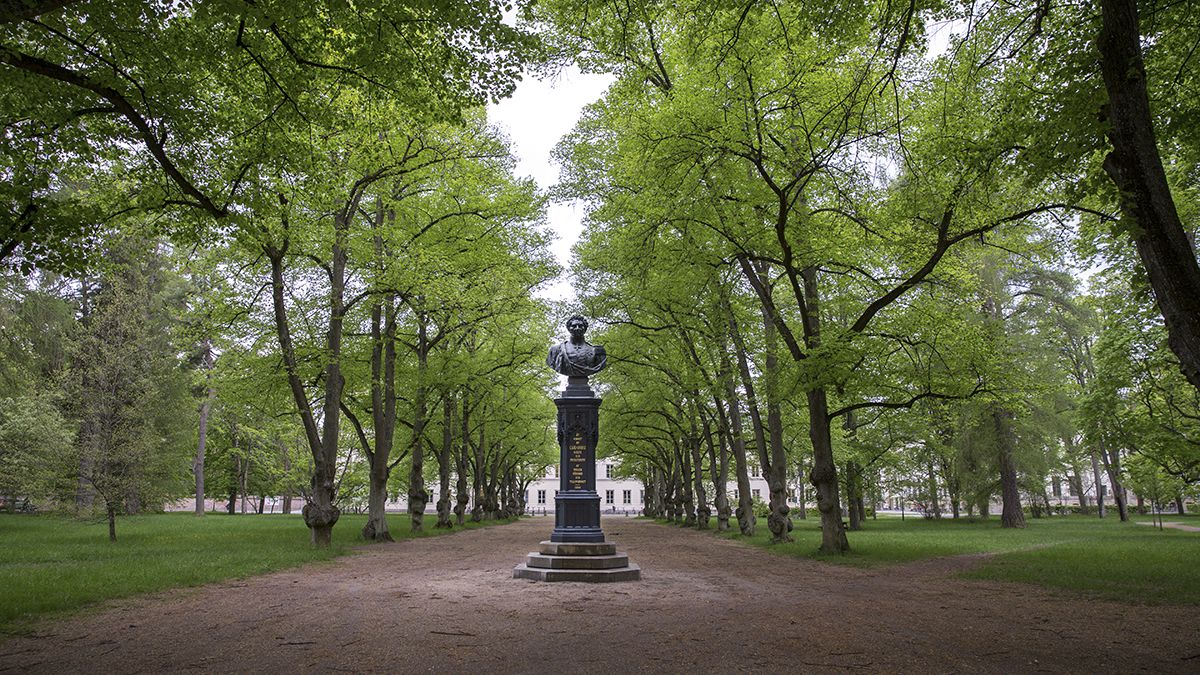 En stor stenstaty av en man mitt i en grusväg kantad av träd i Carolinaparken (Engelska parken).