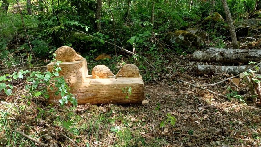 Trädskulptur igelkottar