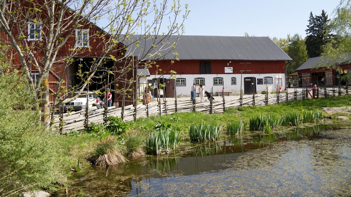 En damm intill en ladugårdsbyggnad, 4H-gården, i Gränbyparken.