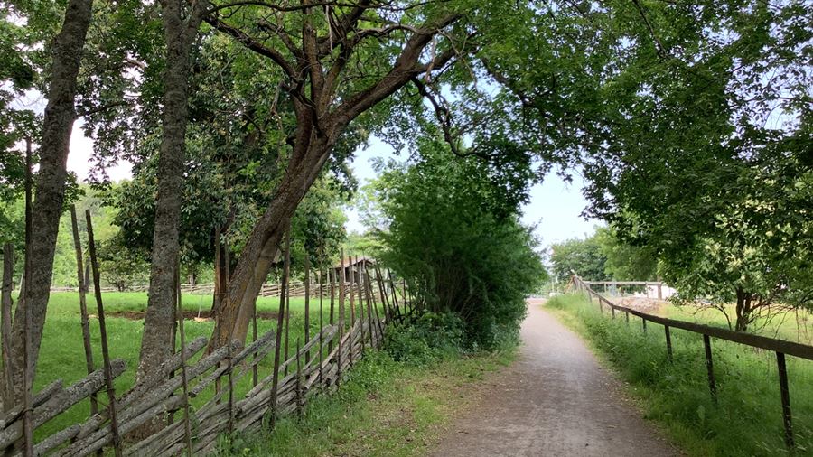 Hagen vid Gränbyparken.