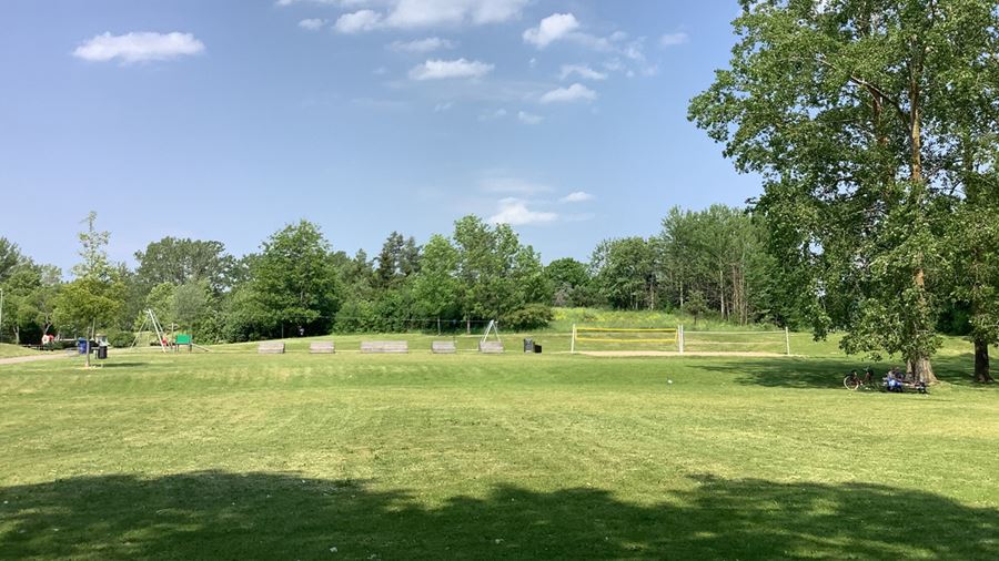 Volleybollplan i parken.