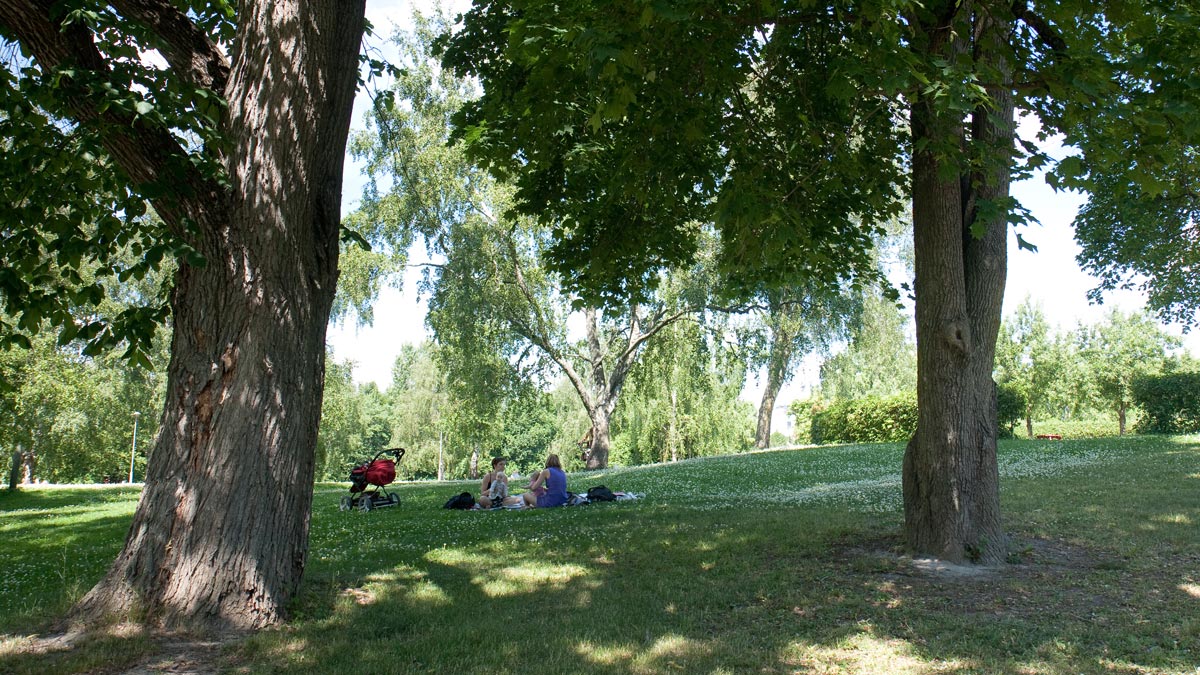 Två kvinnor sitter på en filt i gräset med varsin bebis.  Bredvid dem finns två stora lövträd.