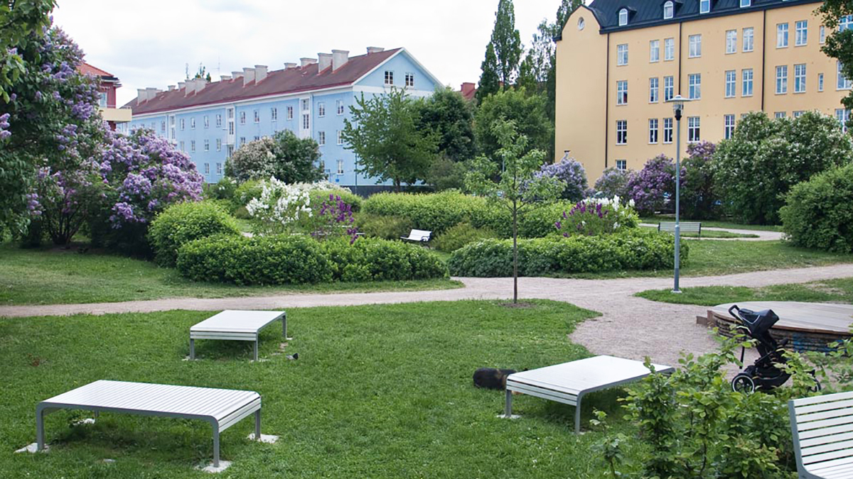 Tre träbänkar utan ryggstöd på gräset. Bakom syns blommande Syrénbuskar, träd och två lägenhetshus.
