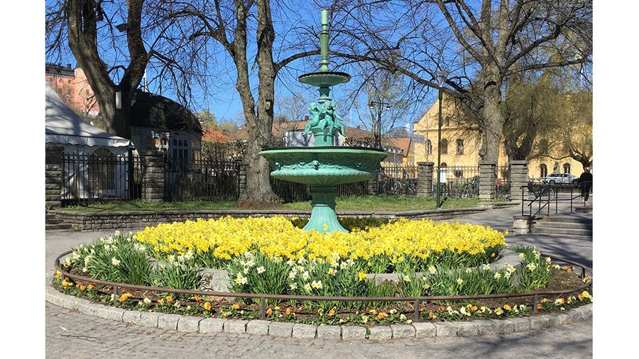 Stadsträdgården
