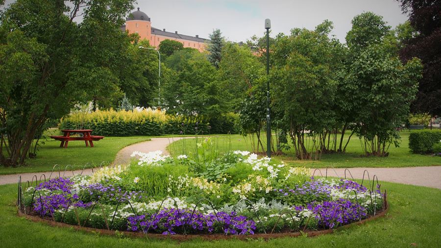 Rund blomsterrabatt med blå, vita och gröna växter. I bakgrunden skymtar Uppsala slott.