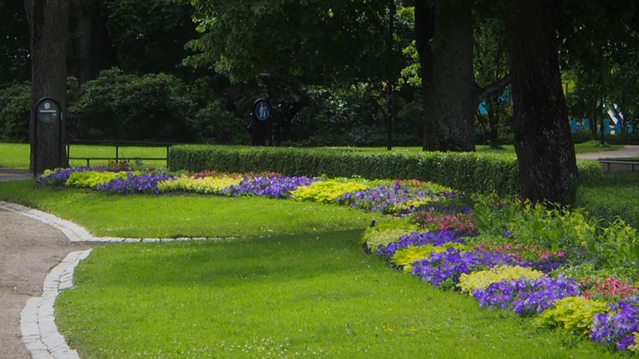 Blomsterrabatt längs med en grusgång.