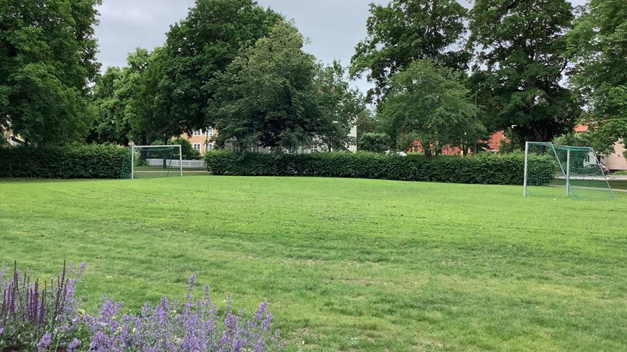 Fotbollsplan i parken.