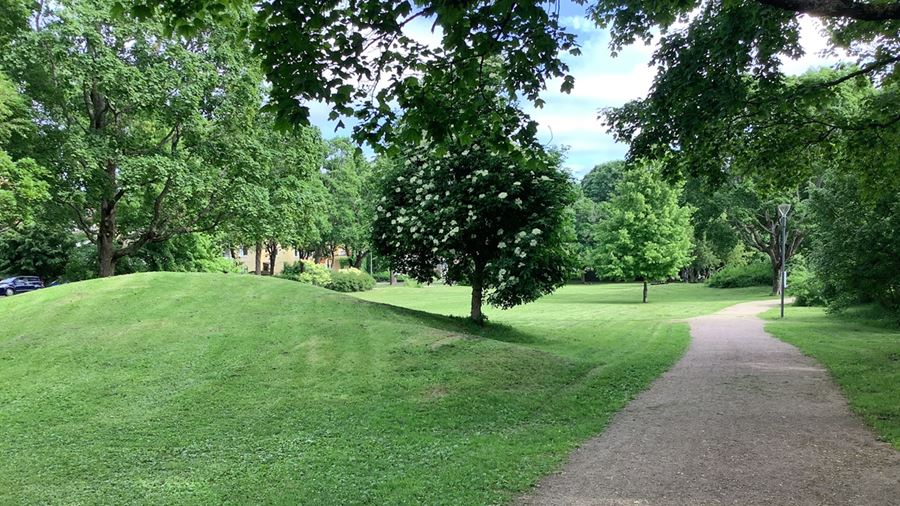 Gräsyta i Tegnerparken med en kulle och träd. En grusgång går genom parken.
