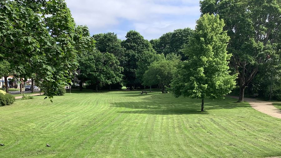 Öppen gräsyta i Tegnerparken.