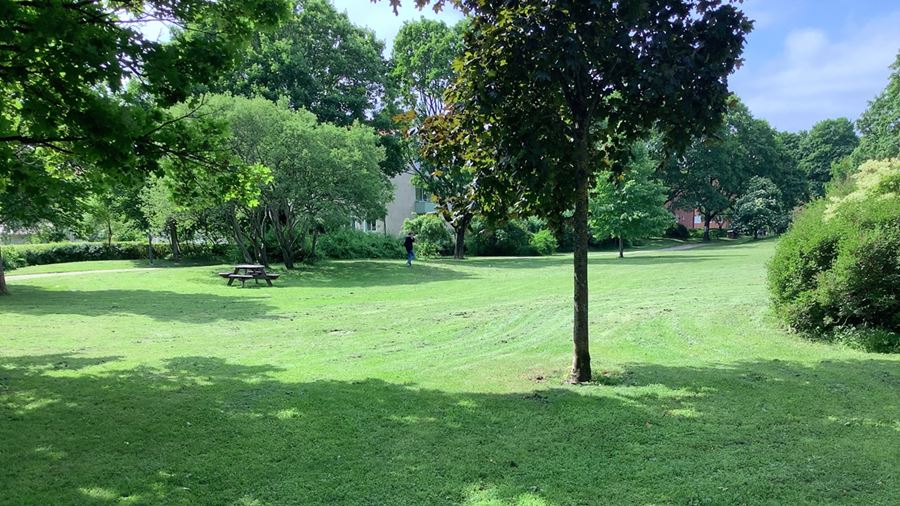 Öppen gräsyta i Tegnerparken.