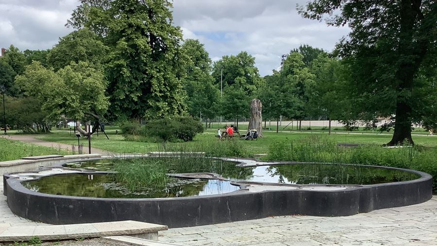 Damm i grönskande Vasaparken.