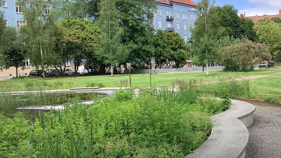 Damm i Vasaparken.