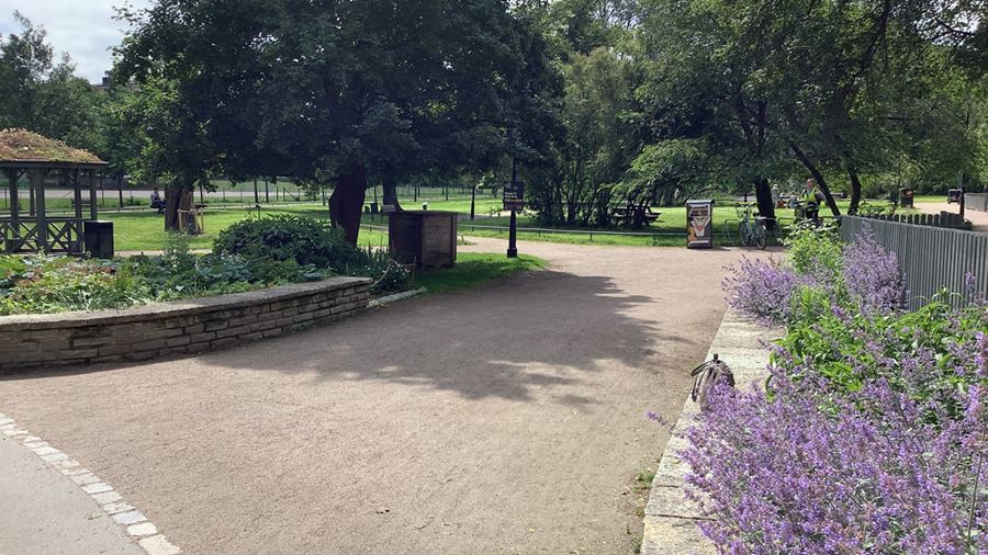 Entré till Vasaparken med en bred grusgång som går igenom parken. Den är kantad med blommande rabatter.