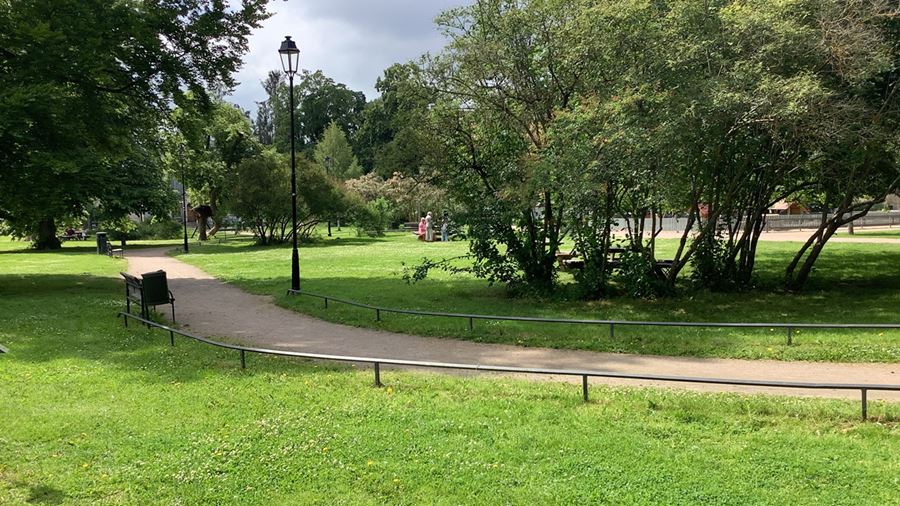 Gräsytor i Vasaparken.
