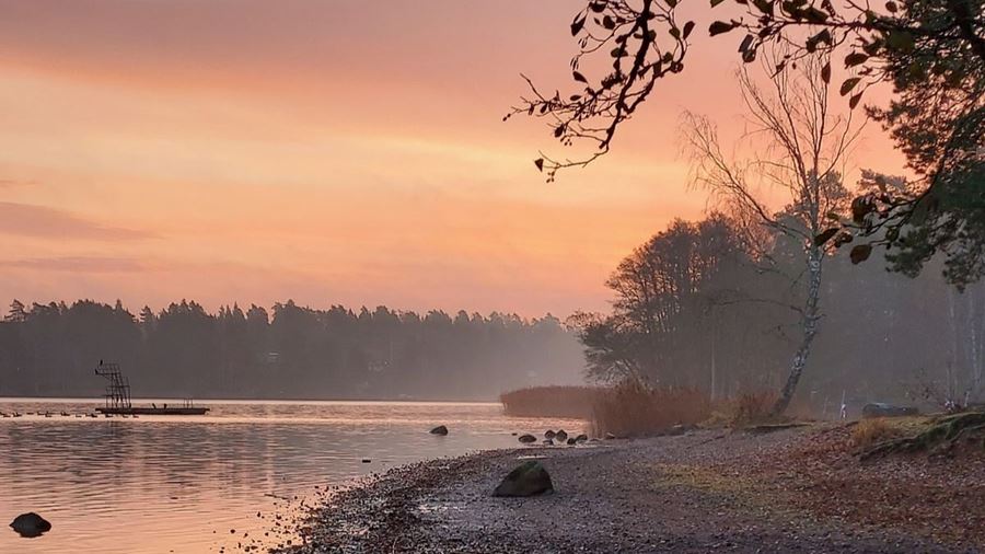 Höst vid sjö