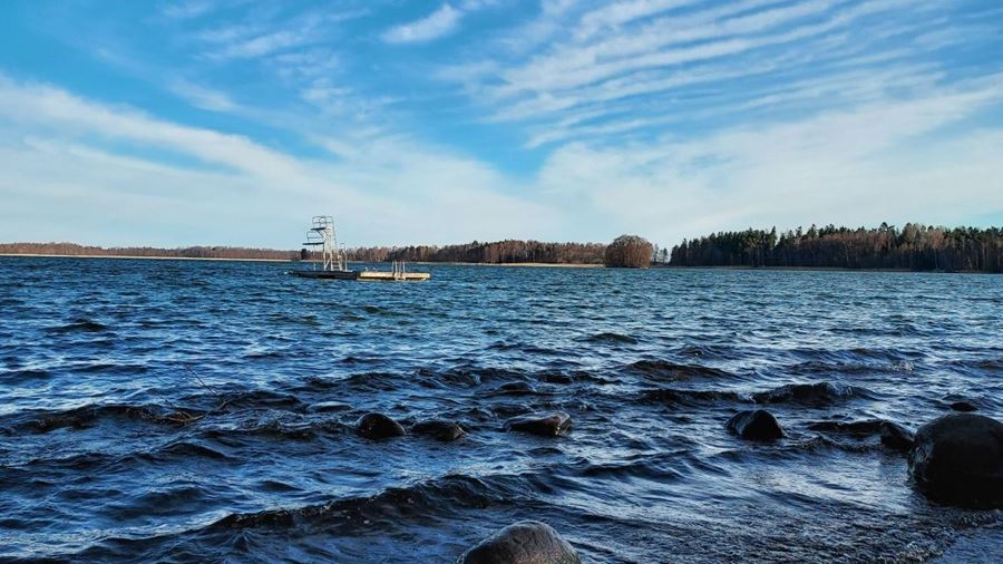 Vågor i Långsjön