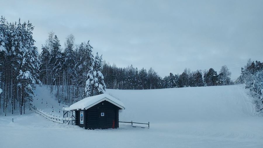 Slalombacke med snö