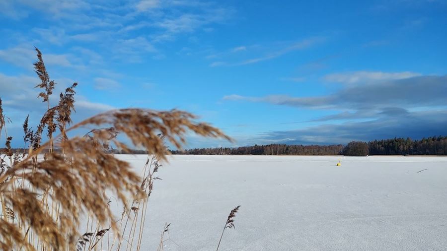 Vintervy över Långsjön