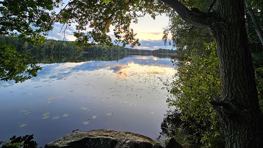 Utsikt över sjön vid Fjällnora friluftsområde