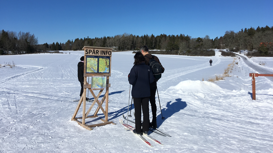 Vinterbild fr&#229;n Hammarskog