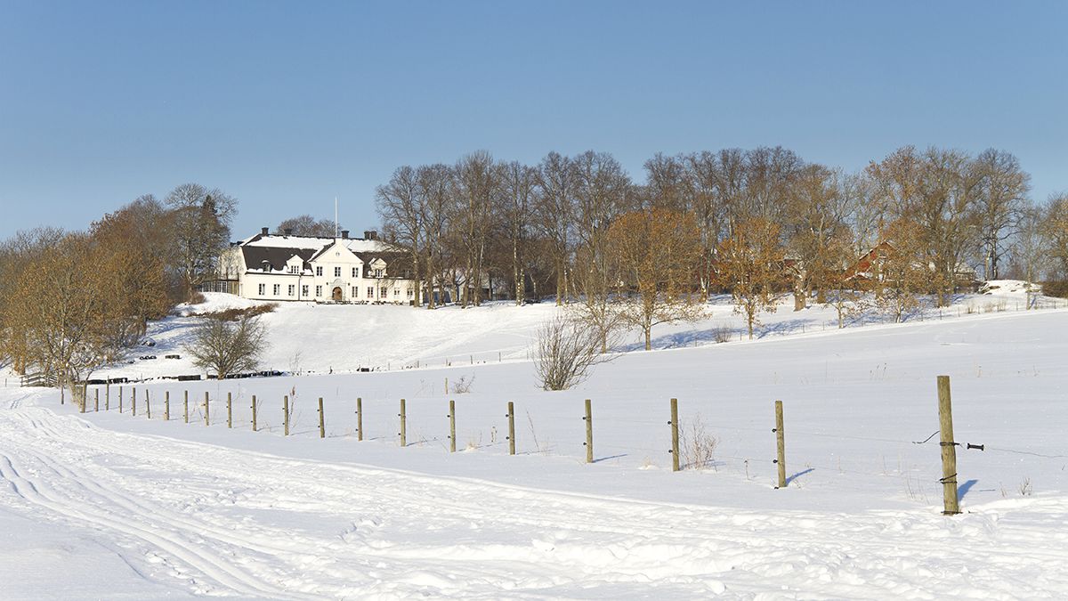 Snötäckta ytor framför herrgården i Hammarskogs friluftsområde.