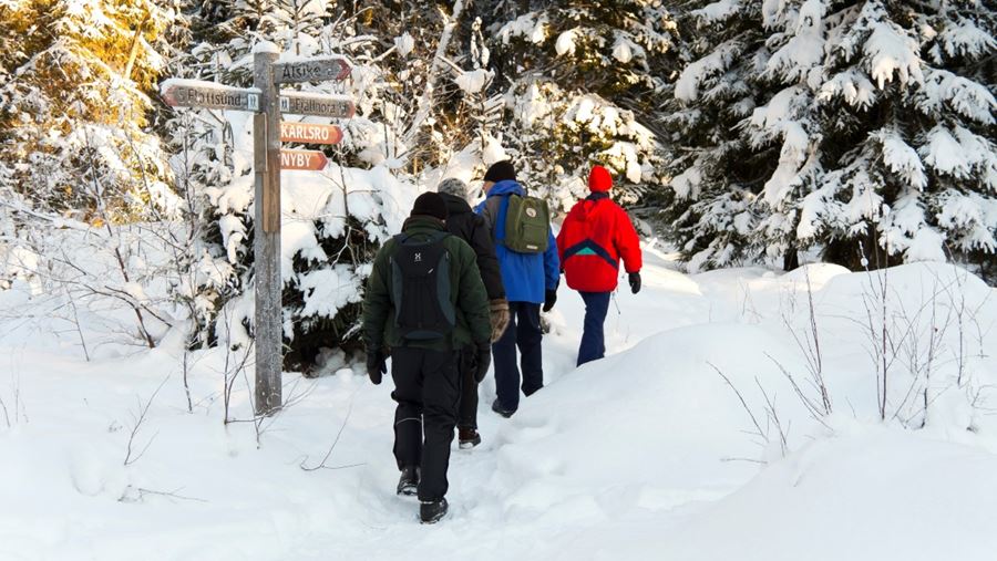 Några vandrare i en snötäckt skog.