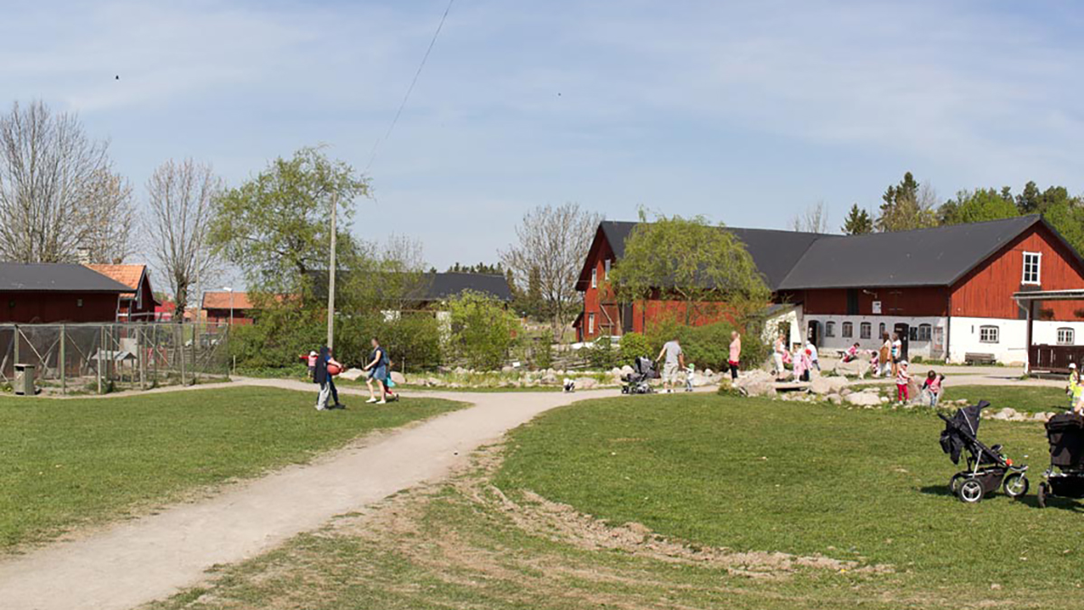 Några vuxna och barn på gräs- och grusytor vid en ladugård (4H-gården) i Gränbyparken.