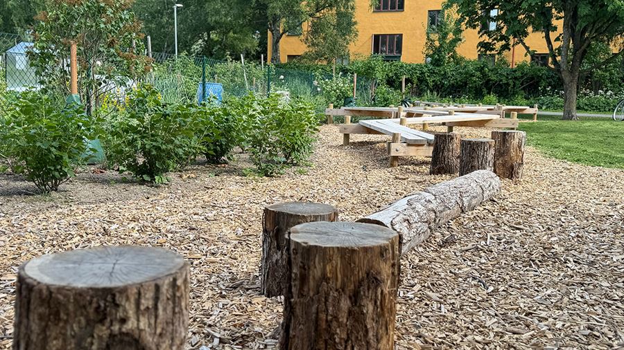 Balansbana med stubbar