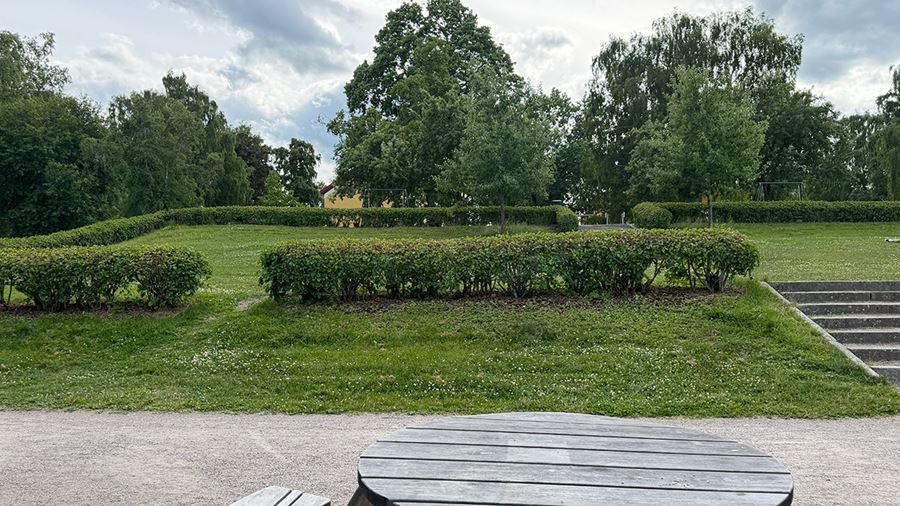 Park med gräs