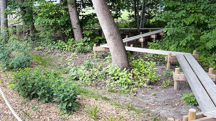 Spång av trä i skog
