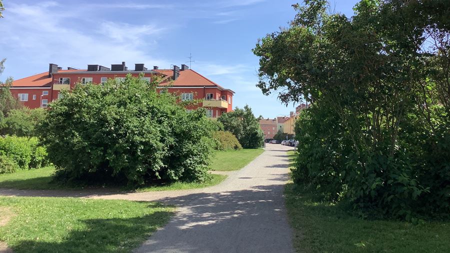 Grusad gångväg genom den grönskande S:t Göransparken