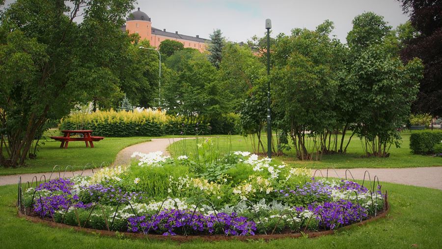 Rund blomsterrabatt med bl&#229;, vita och gr&#246;na v&#228;xter. I bakgrunden skymtar Uppsala slott.