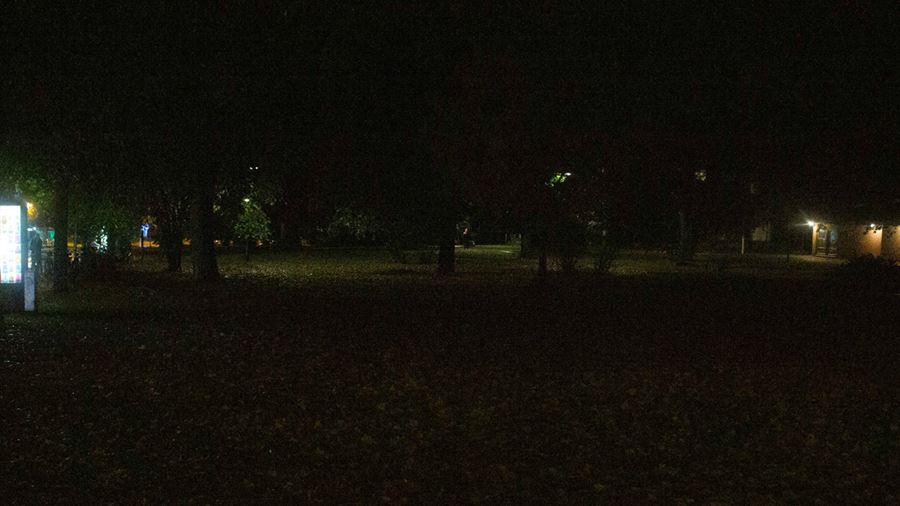Mikaelsparken innan belysningen f&#246;rb&#228;ttrades. En m&#246;rk park med l&#229;gt h&#228;ngande tr&#228;dkronor.