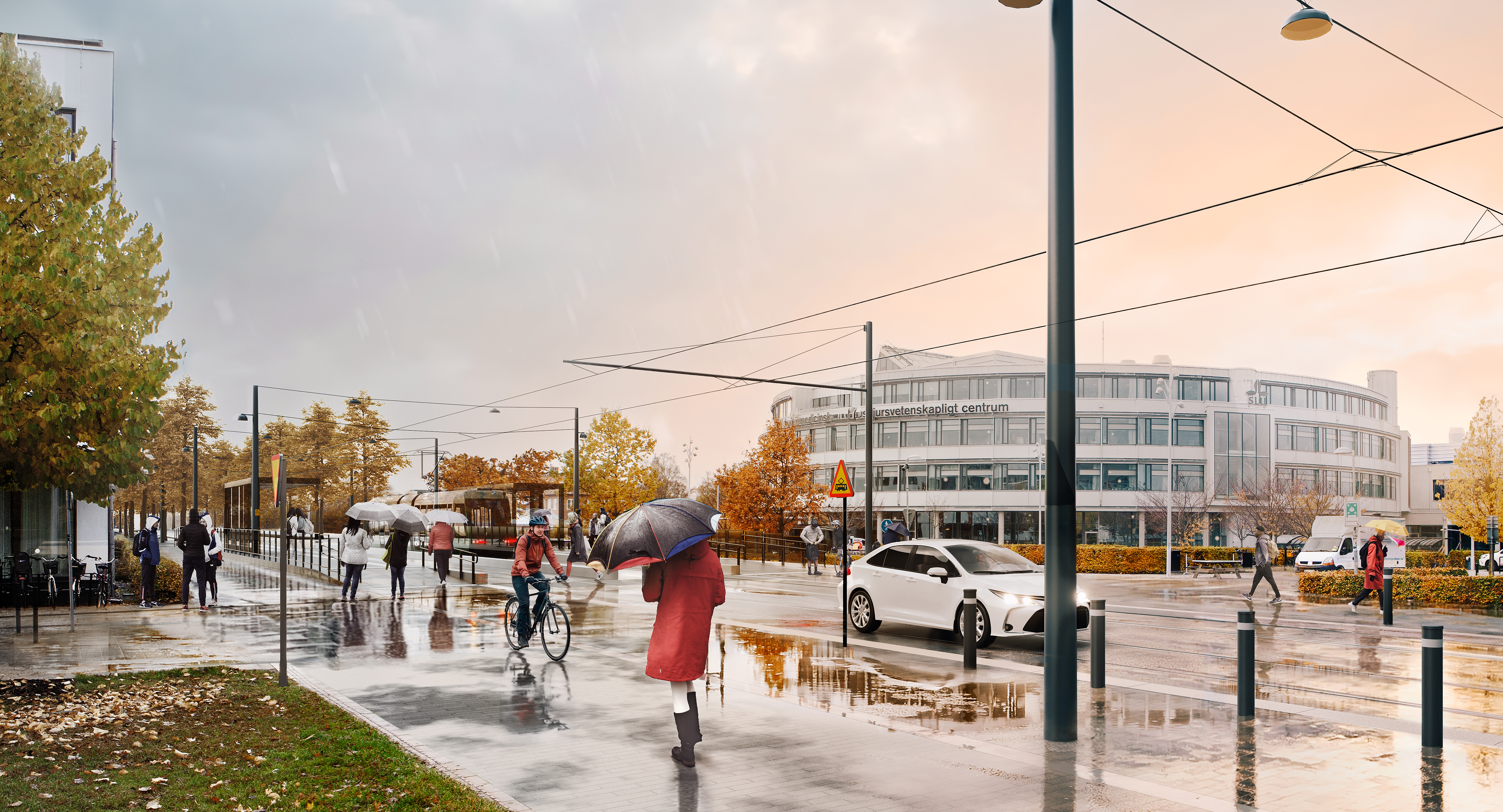 Ulls väg och SLU