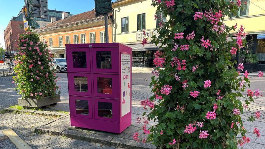 En gata med en piffl-box och en buske som blommar i rosa