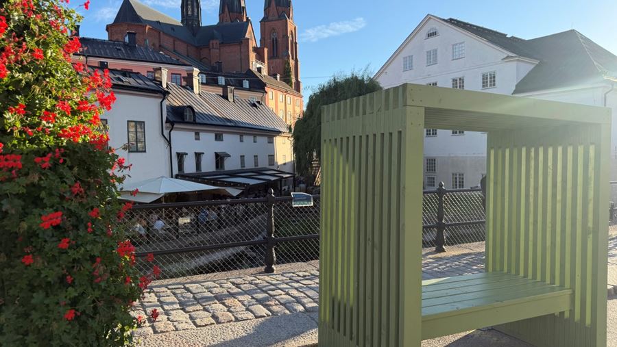Blomstrande sommargata med utsikt över ån och domkyrkan