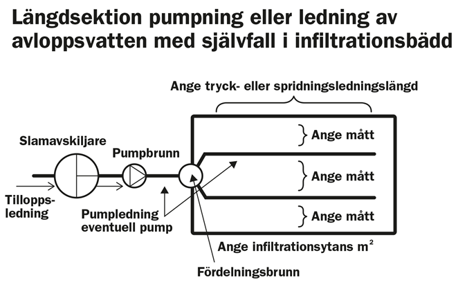 Längdsektion