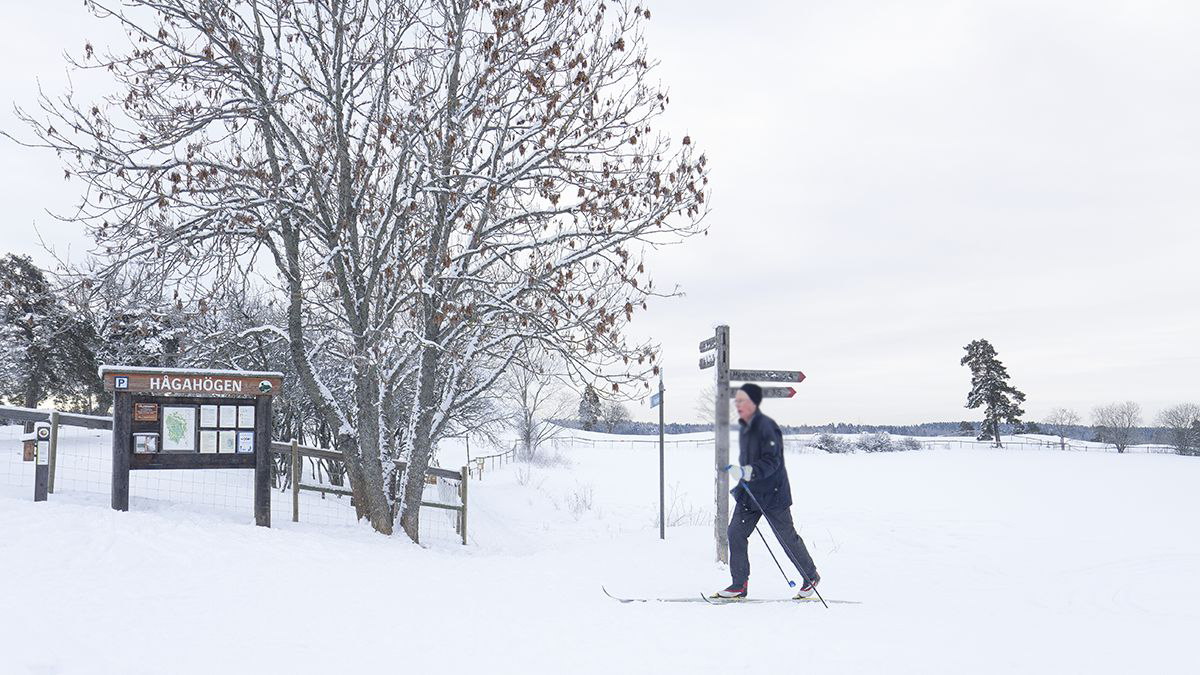 En person åker längdskidor vid Hågahögen i Hågadalen-Nåstens naturreservat.